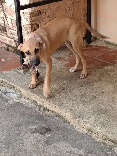 Doação responsável 