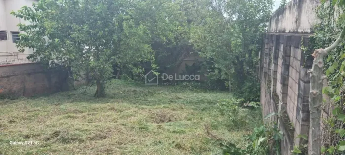 terreno - Cidade Universitária - Campinas