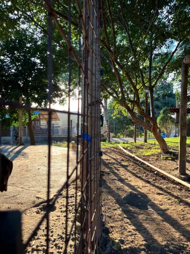 Cuidador de animais e infraestrutura