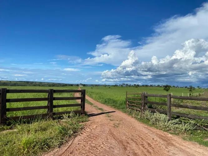 Fazenda em Campo Verde MT. 589hec R$:9.800.000.00