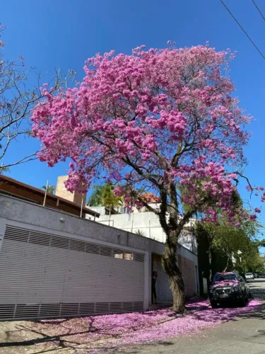 Casa à venda na Vila Mascote com 310m², 4 quartos (3 suítes), 3 vagas, churrasqueira e qui