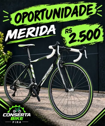 Bike speed merida