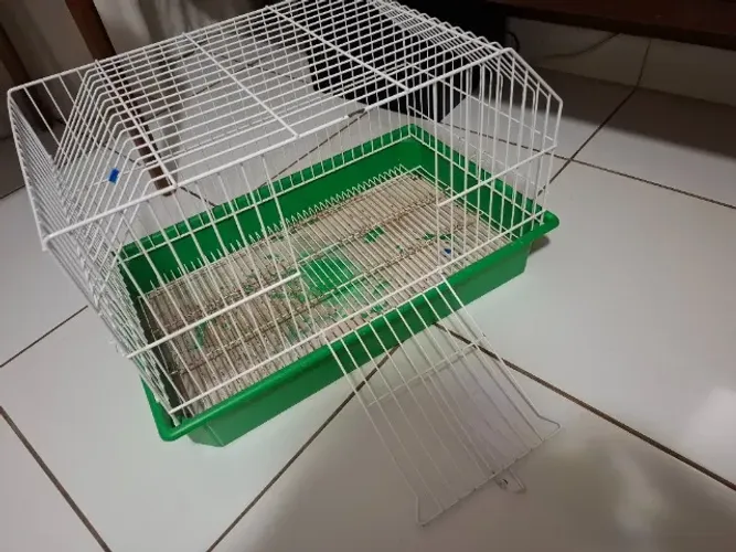 Gaiola para porquinho da Índia