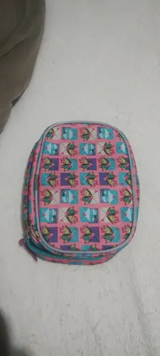 Estojo escolar infanti feminino l (mônica Abreu)