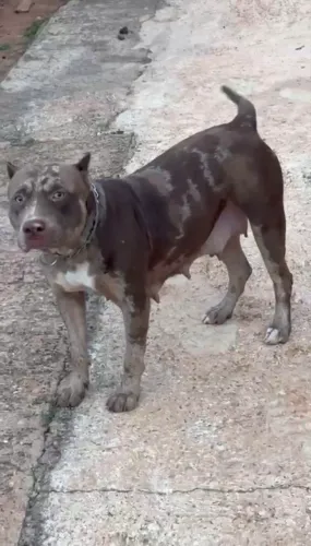 Pit monster