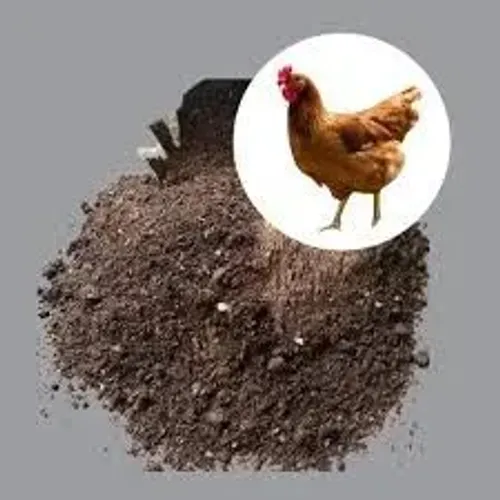 Esterco de galinha curtido, 5 lt 