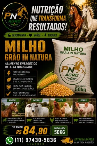 Milho