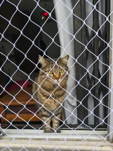 Tela de Proteção