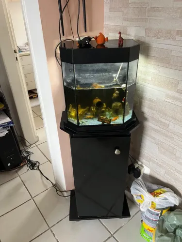 Aquário com móvel e equipamento