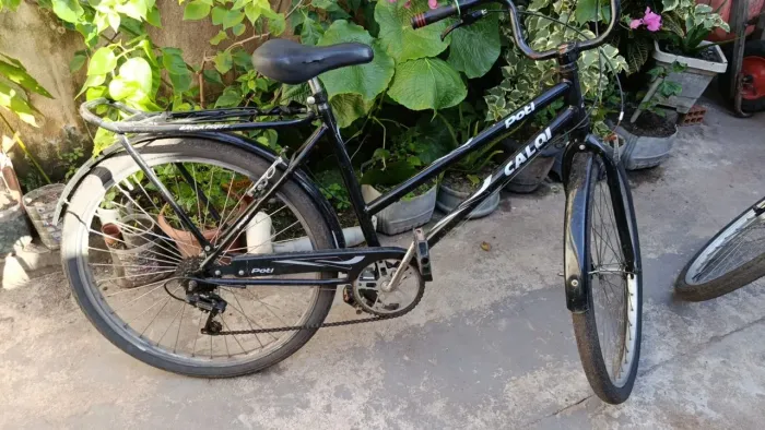 Bike poti 