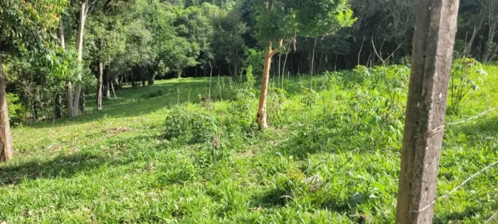 Terreno para Sítio 3.000m2 próximo a Curitiba - ACEITO VEÍCULO