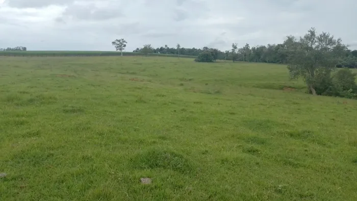 5 alqueires em cesario langer Terra vermelha Próximo a cidade Valor 1.100,000,00