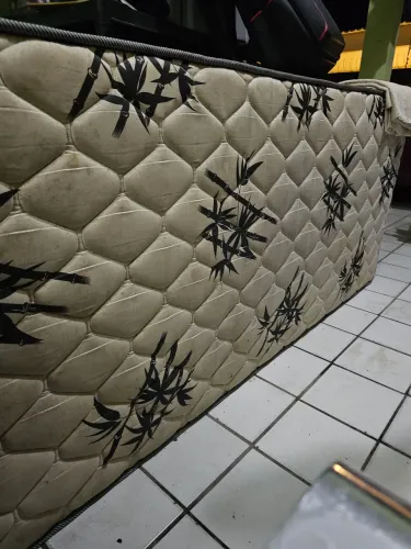 Cama 