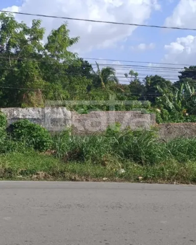 Terreno no Olho d'agua para venda