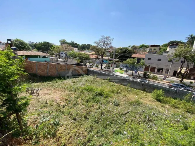 Lote à venda, Santa Amélia - Belo Horizonte/MG