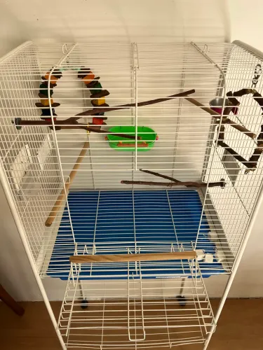 Kit Gaiola Completa