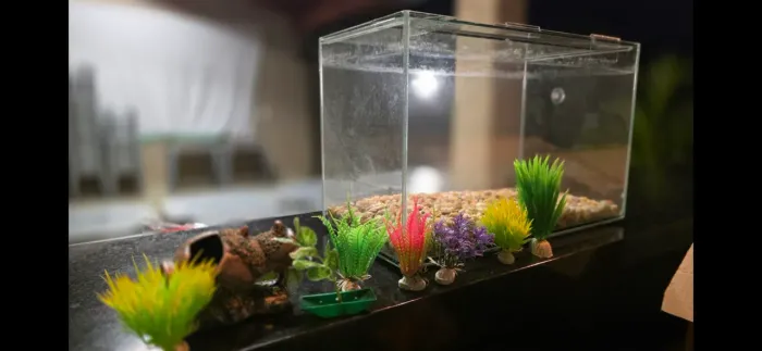 Aquário completo para peixe - já vai com tudo!