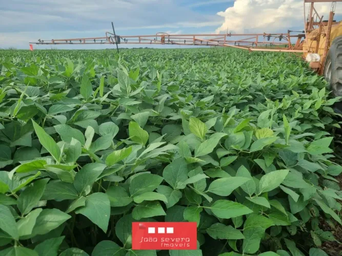 Fazenda para Venda em Santa Maria do Tocantins