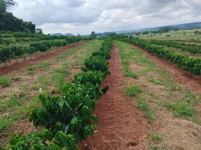 sitio em cassia dos coqueiros 9 alqueires 3.500.000.00 ( d )
