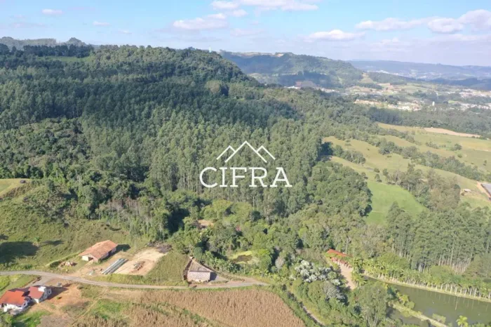 Terreno Rural - Venda - 28 Hectares - Reflorestamento - Laurentino