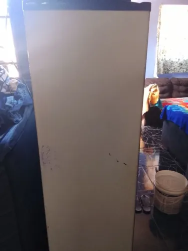 Estou vendendo esse freezer