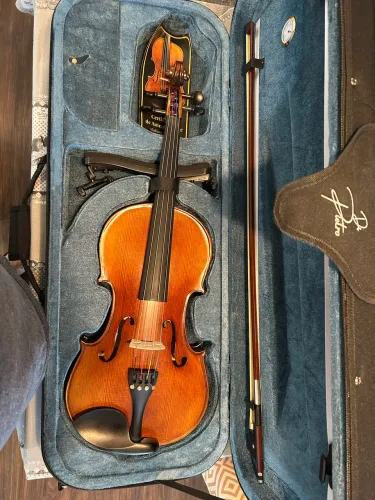 Viola Di pietro 100