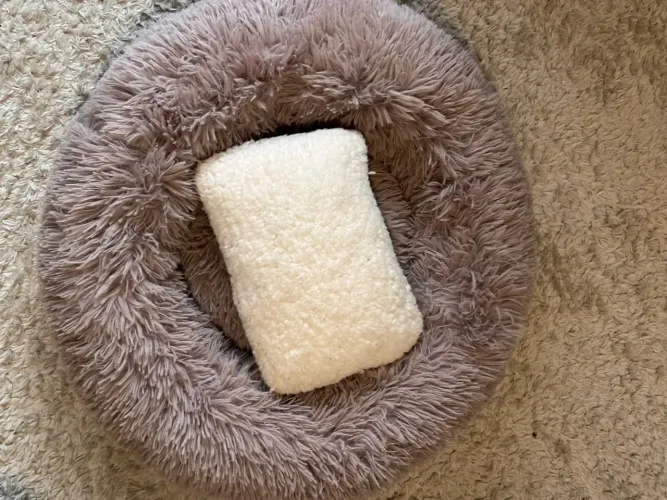 Caminha de Pelúcia para Gatos / Cães Pequenos (Nova) + Brinde!