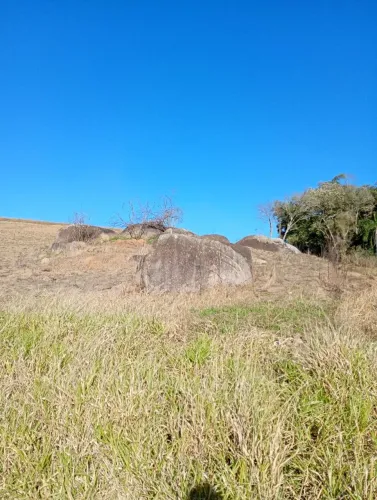 Serviço de caseiro 