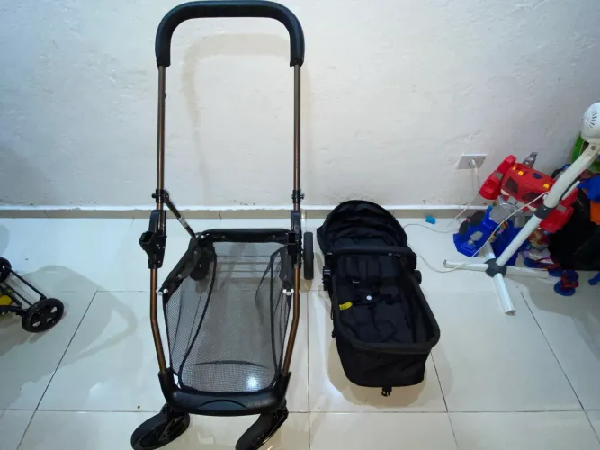 Carrinho de bebê Moisés Galzerano