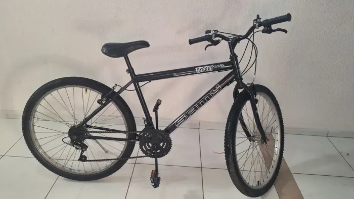 Bicicleta