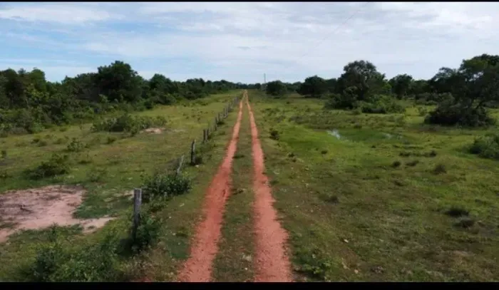 Fazenda Poconé
