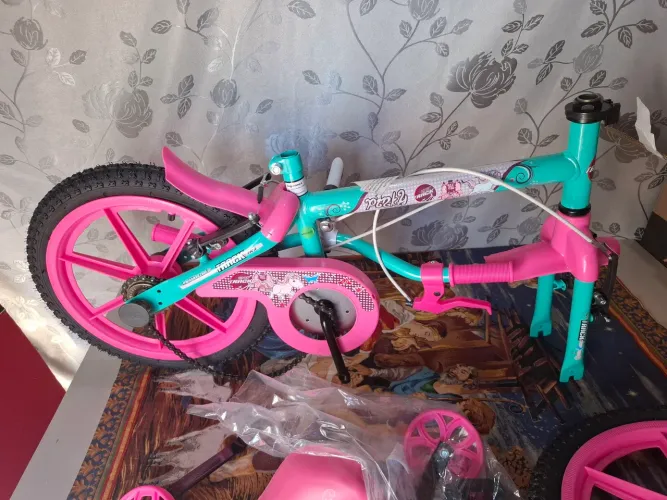 Biciceta infantil feminina 