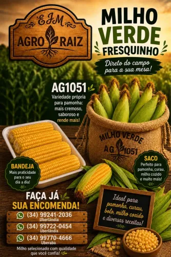 ? MILHO VERDE AG1051 - O MELHOR PARA PAMONHA! ?