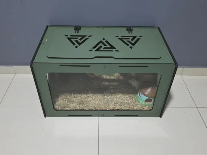 Vendo terrário com 3 esquilos da Mongólia