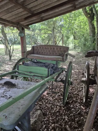 Charrete antiga verde - Estilo clássico, ideal para decoração ou uso em fazenda