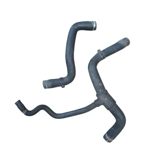 Mangueira Radiador E Motor Renault Scenic 1.6 16v