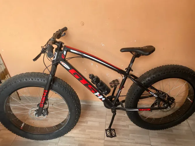 Fat bike