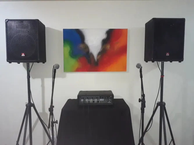 SOM PA PEAVEY 80w COMPLETO