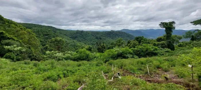 Área de terra bairro Scheiblin, Linha Nova.RS Ref.:157