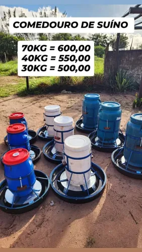 Comedouro para suínos