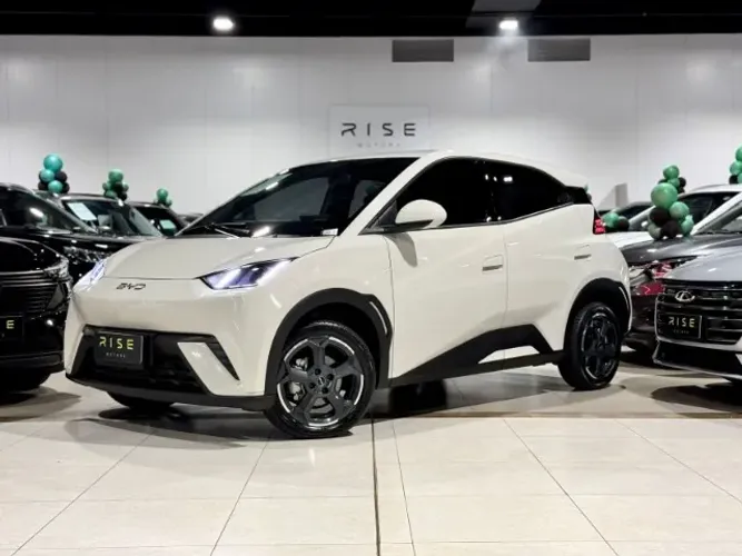 BYD Dolphin Mini (Elétrico) 2024