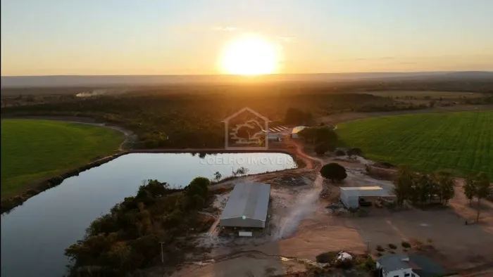 ARINOS MINAS GERAIS FAZENDA PRONTA PARA PRODUÇÃO COM ALTO POTENCIAL