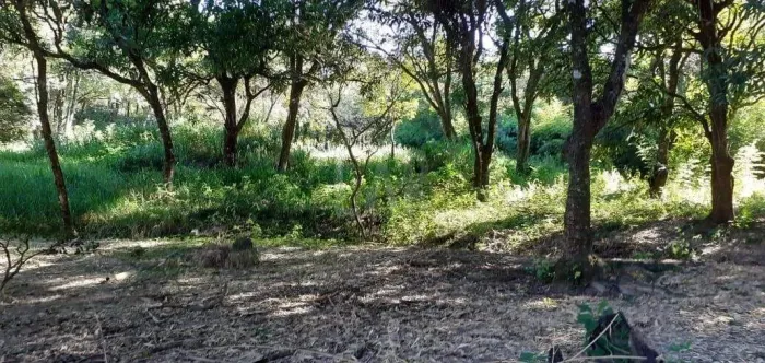 Lote - Terreno à venda, Distrito Industrial - Vespasiano/MG