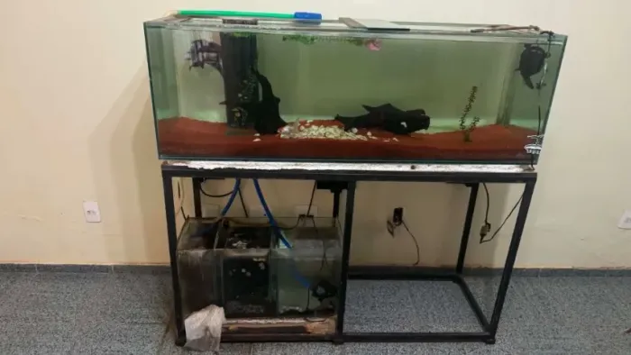 Aquario 150cm de largura completo