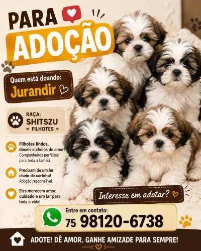 Cachorro