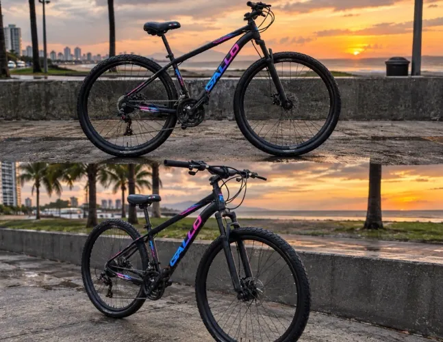 Bicicleta da galo usada revisada com nota,faço entrega