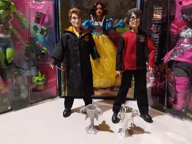 Lote Cedric e harry potter