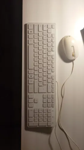 Teclado e mouse brancos LG usado