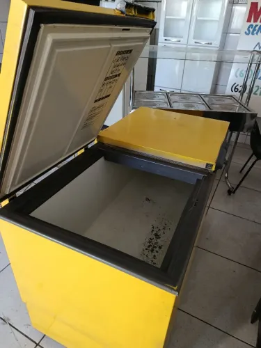 Vendo 2 Freezer um sendo vitrine