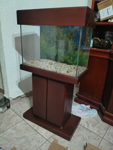 Aquário + Móvel em boas condições 